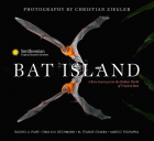 Image for "Bat Island"