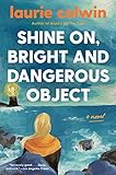 Image for "Shine on, bright and danger object"