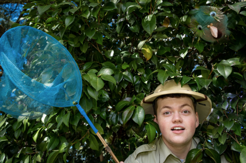 Adventurer in trees with insect net