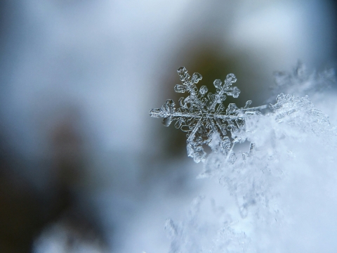 Image of snowflake | Photo by Aaron Burden